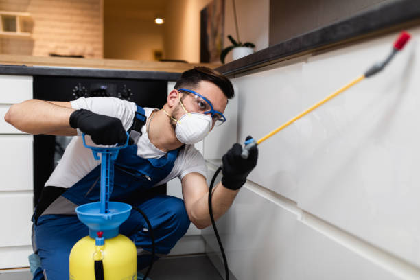 Best Pest Prevention Services  in Baldwin, LA