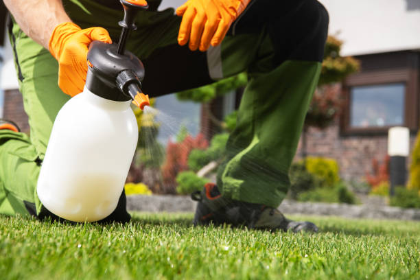 Best Flea Control Services  in Baldwin, LA