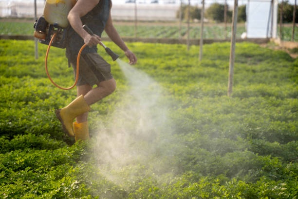 Best Affordable Exterminators  in Baldwin, LA