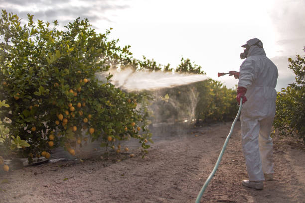 Best Pest Inspection Near Me  in Baldwin, LA