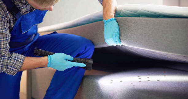 Wasp Removal Services in Baldwin, LA