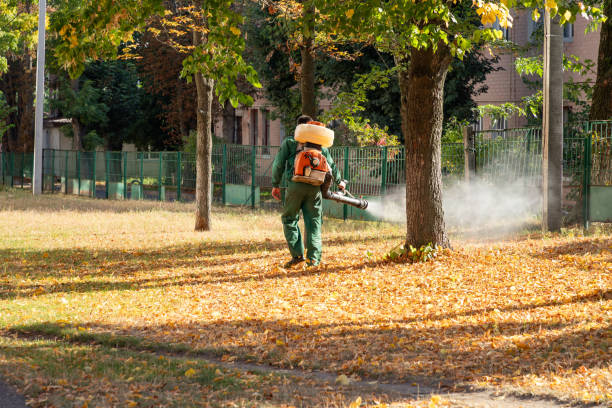 Best Commercial Pest Control Services  in Baldwin, LA