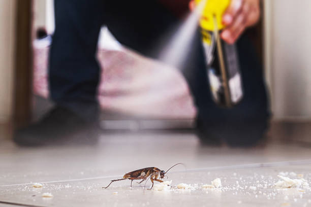 Best Mosquito Control Services  in Baldwin, LA