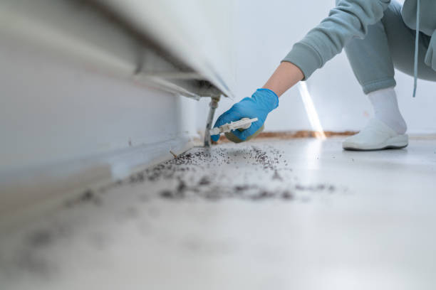 Best Pest Inspection Near Me  in Baldwin, LA